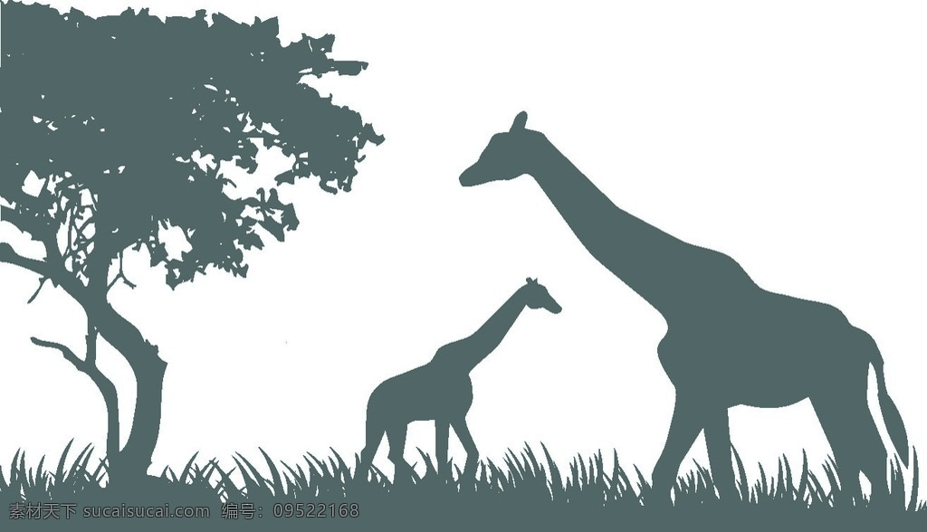 长颈鹿 动物 树 非洲草原 剪影 鹿 自然景观 自然风光