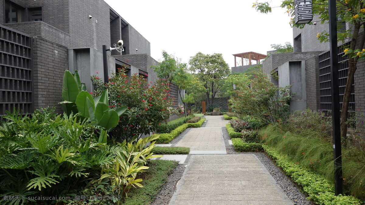 新中式景观 中式景观 新中式建筑 宅间花园 中式花园 中式庭院 建筑园林 园林建筑