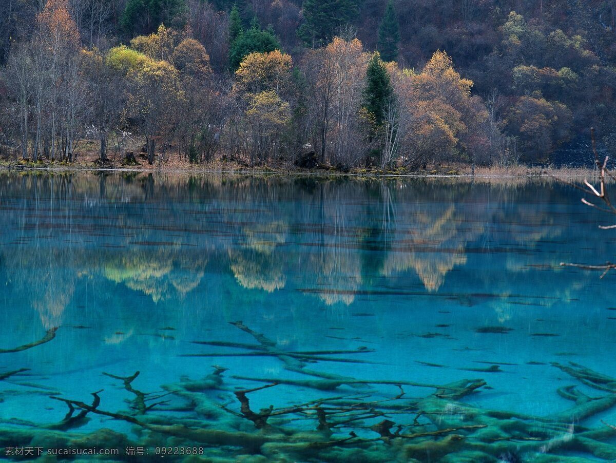 背景 湖水 清澈 山林