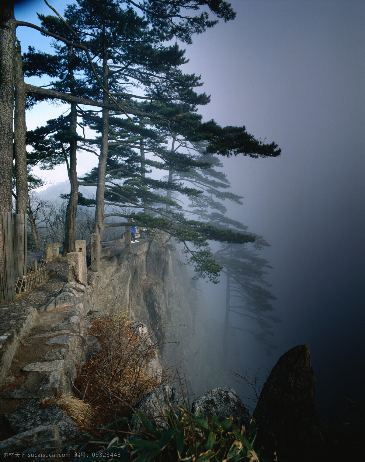 高山 峭壁 松树 景色 陡峭 悬崖 绿树 青松 烟雾 云雾 自然景观 高清图片 山水风景 风景图片