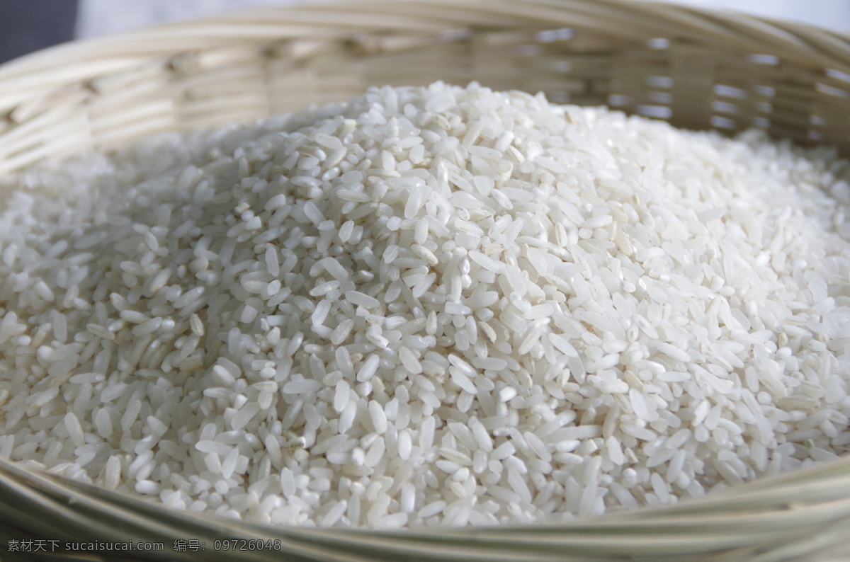 大米粒图片 大米 香米 稻米 米粒 长粒香米 米 五谷杂粮 长粒大米 长粒籼米 白米 长粒香 长粒米 晚籼米