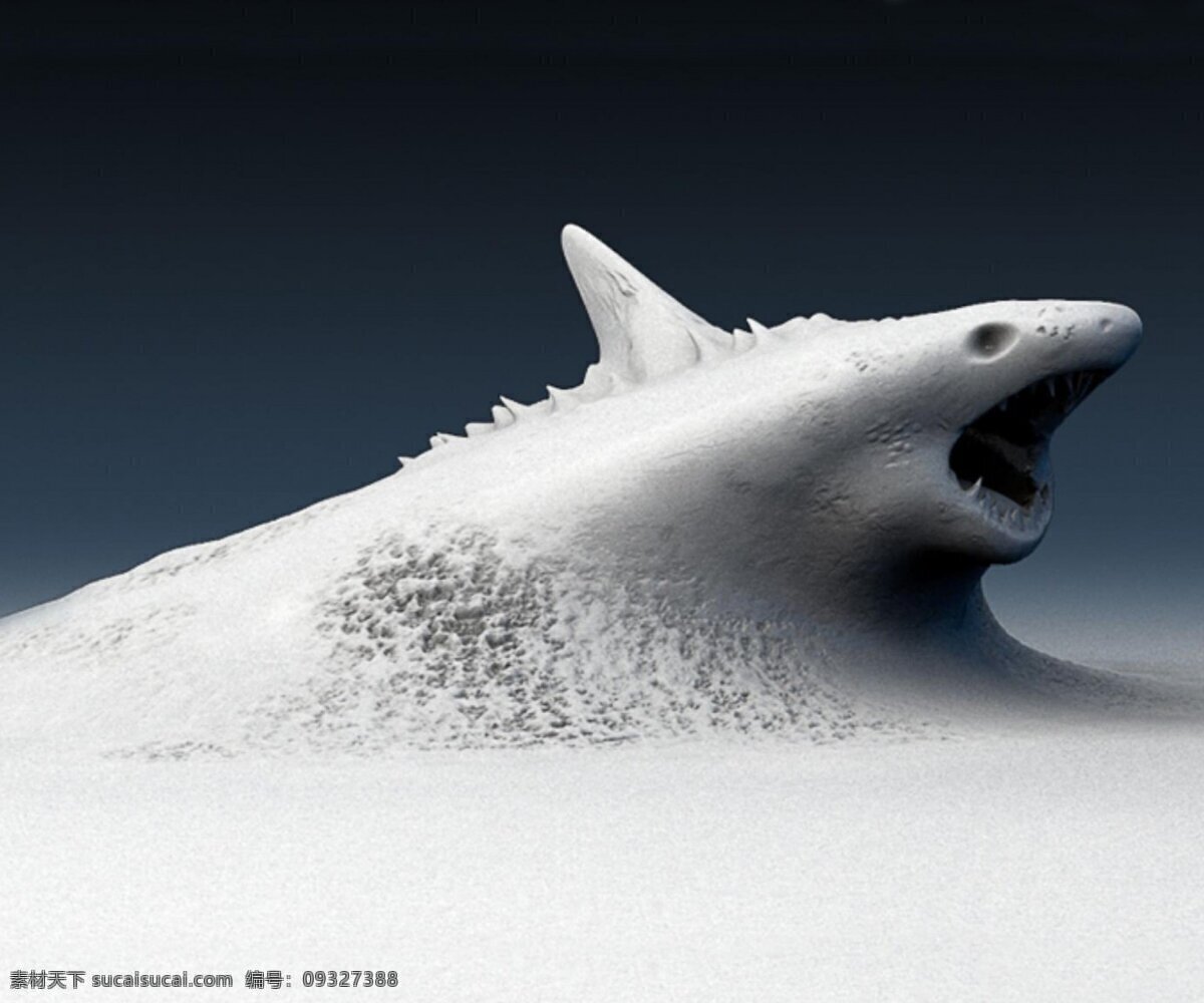 鲨鱼 冲出 水 面的 创意 意境 汹涌 白色