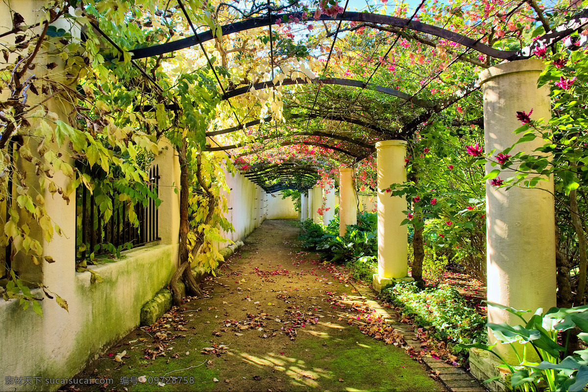 花园过道图片 走廊 过道 柱子 玫瑰园 葡萄园 花园过道 花园