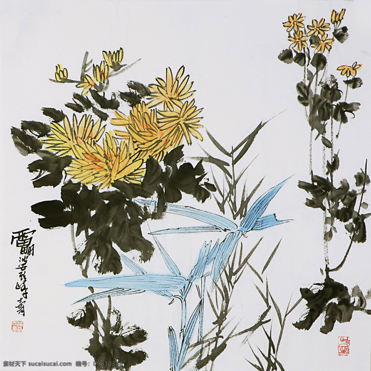 国画菊花 国画 菊花 水墨画 竹子 蝴蝶 花卉