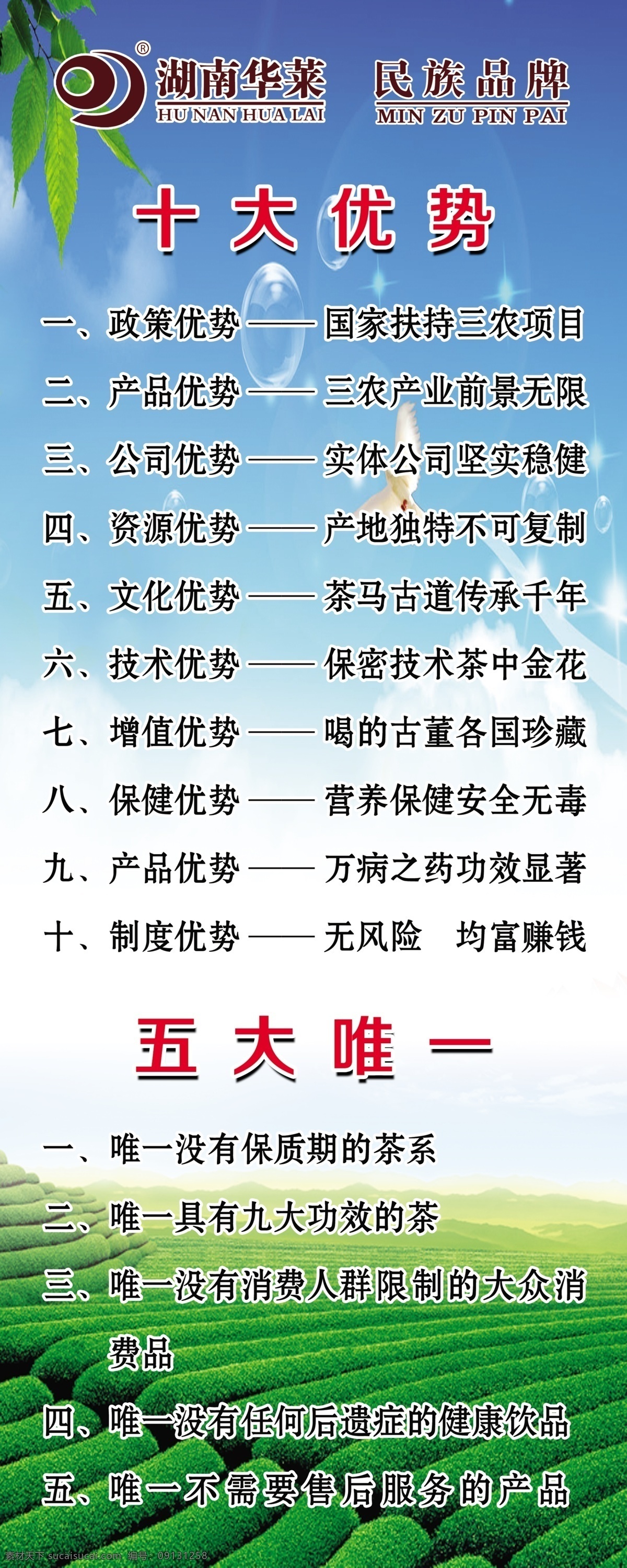 湖南华莱 产品优势 公司优势 资源优势 文化优势 增值优势 分层 展架