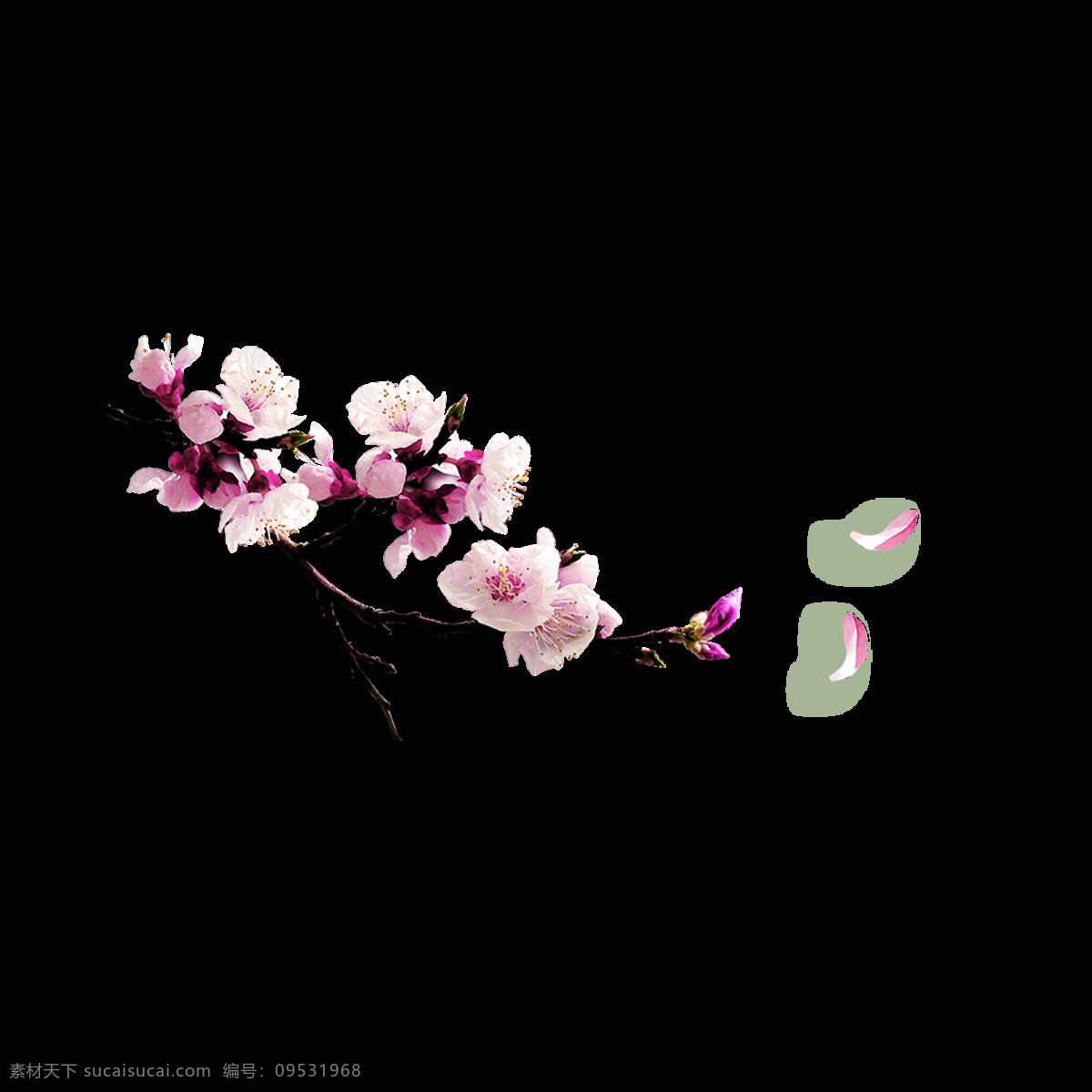 手绘 浪漫 花瓣 元素 png元素 梅花 免抠元素 透明元素 唯美