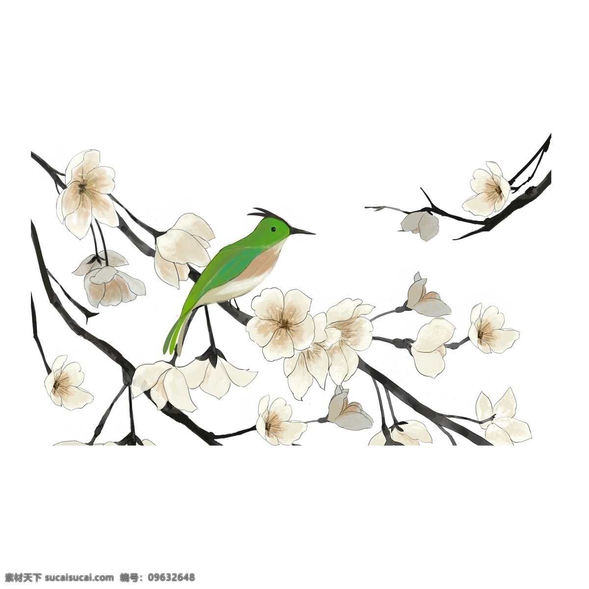 白色 花枝 绿色 小鸟 卡通 元素