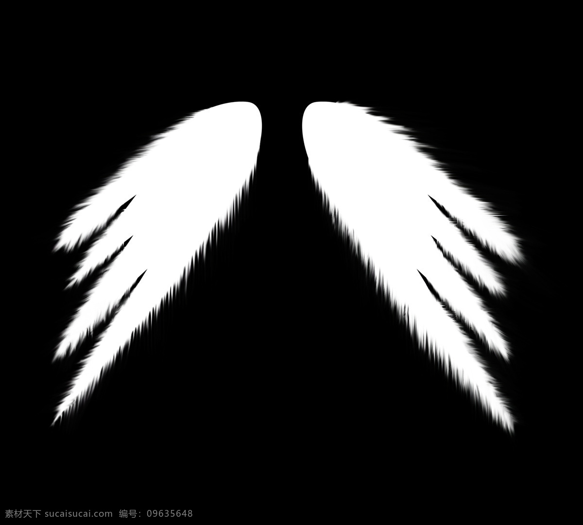 天使 翅膀 单色 黑 天使的翅膀 羽毛 设计素材 模板下载 白 psd源文件