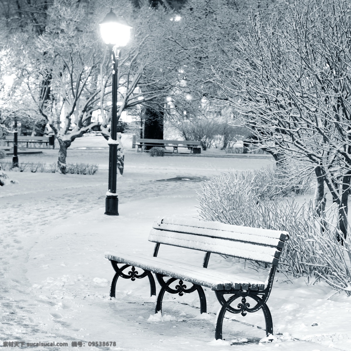 雪地 上 长椅 椅子 树木 路灯 雪景 冬景 山水风景 风景图片