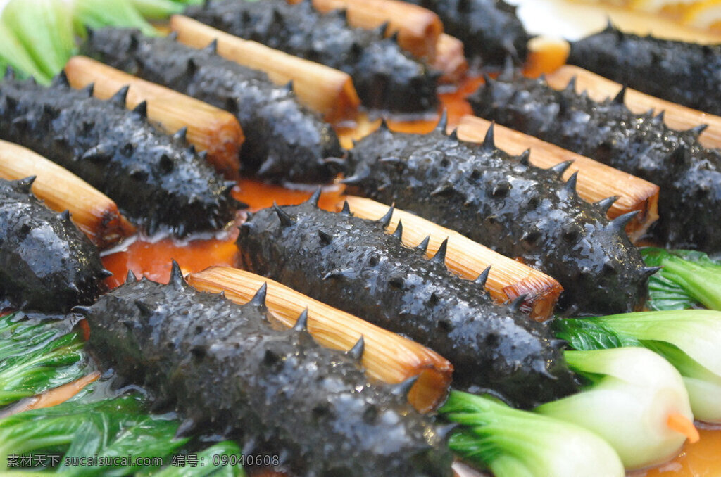 葱烧海参 海参 金葱烧海参 鲁菜经典 传统鲁菜 美味海参 乌鱼 燕翅鲍参 酒店高档菜品 高级菜品 高档美食 高级美味 经典美味 葱烧 青菜 靓汤海参 美味 极品海参 传统美食 餐饮美食