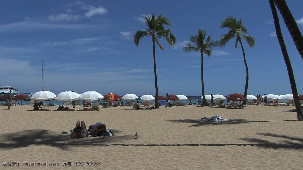 威 基 海滩 股票 视频 雨伞 放松 日光浴 视频免费下载 树 夏威夷 棕榈树 威基基 海滩伞 伞的阴影 棕榈 微风 微风轻拂 其他视频