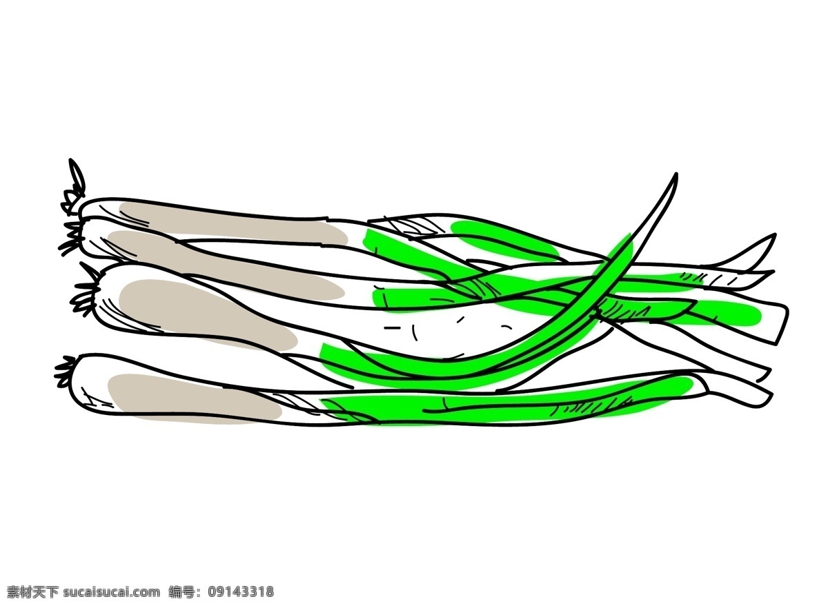 手绘葱 蔬菜 葱 调料手绘 矢量 手绘蔬菜 水果 元素