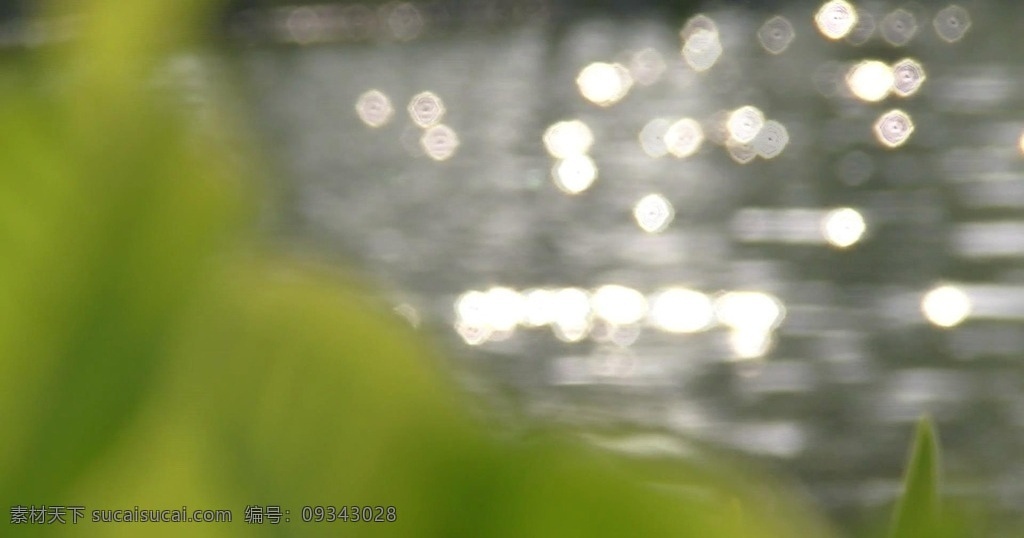 波光鳞鳞 景深 虚化 绿叶 流水 水面 河面 小河 河流 阳光 春风 多媒体 实拍视频 自然风光 mov