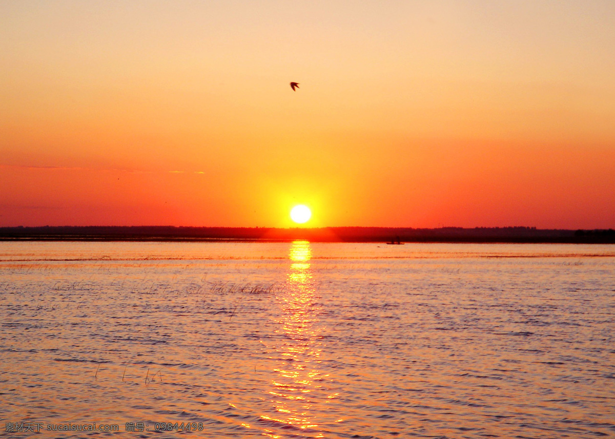 日出 夕阳 黄昏 大海 湖水 生态公园 自然景观 自然风景