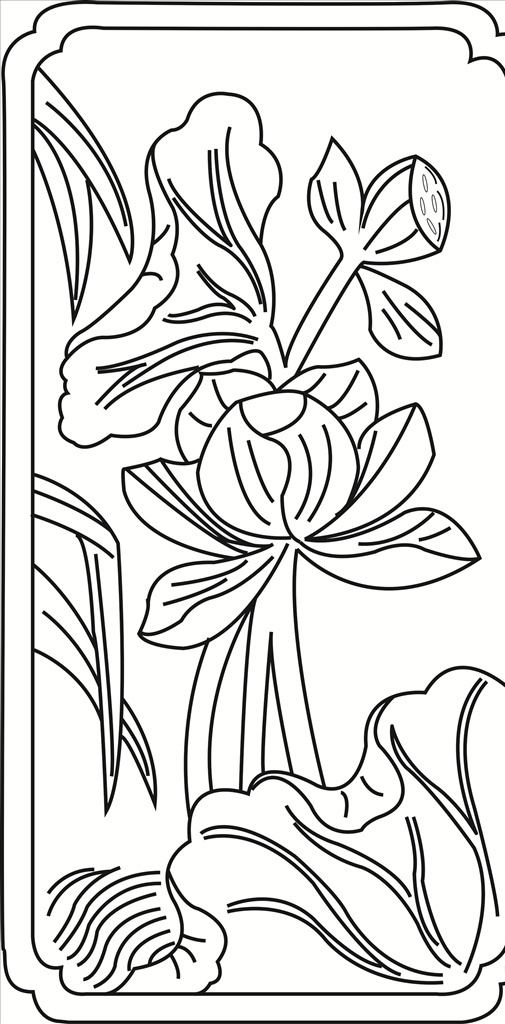 荷花花纹 花卉 植物 观赏 叶子 线条 矢量 装饰 插画 白描 线条装饰纹样 底纹边框 花边花纹