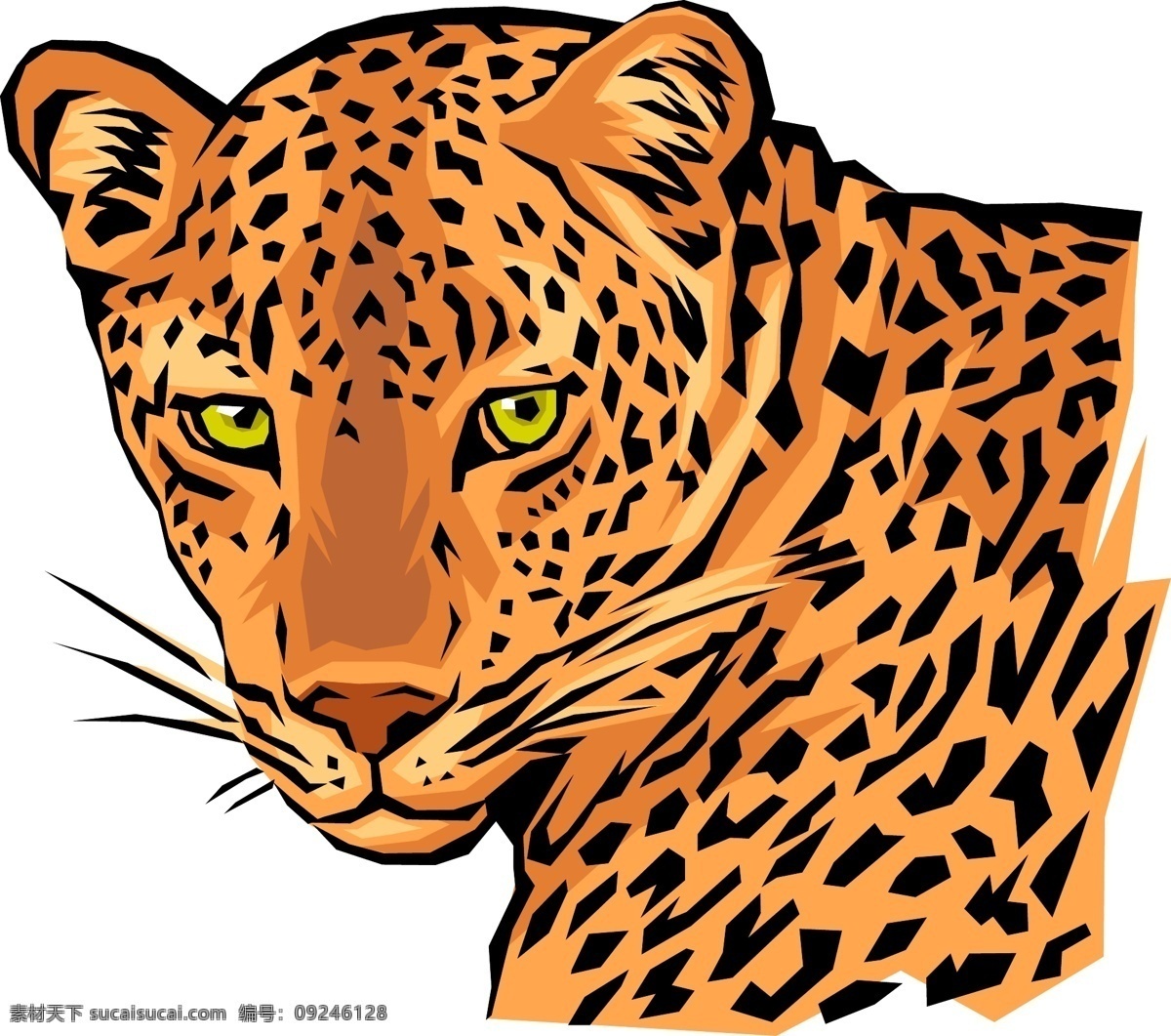 猎豹 矢量图 金钱豹 矢量 豹子矢量图 野生动物 保护 野生动物矢量 动物矢量图 爱护动物 矢量动物 生物世界