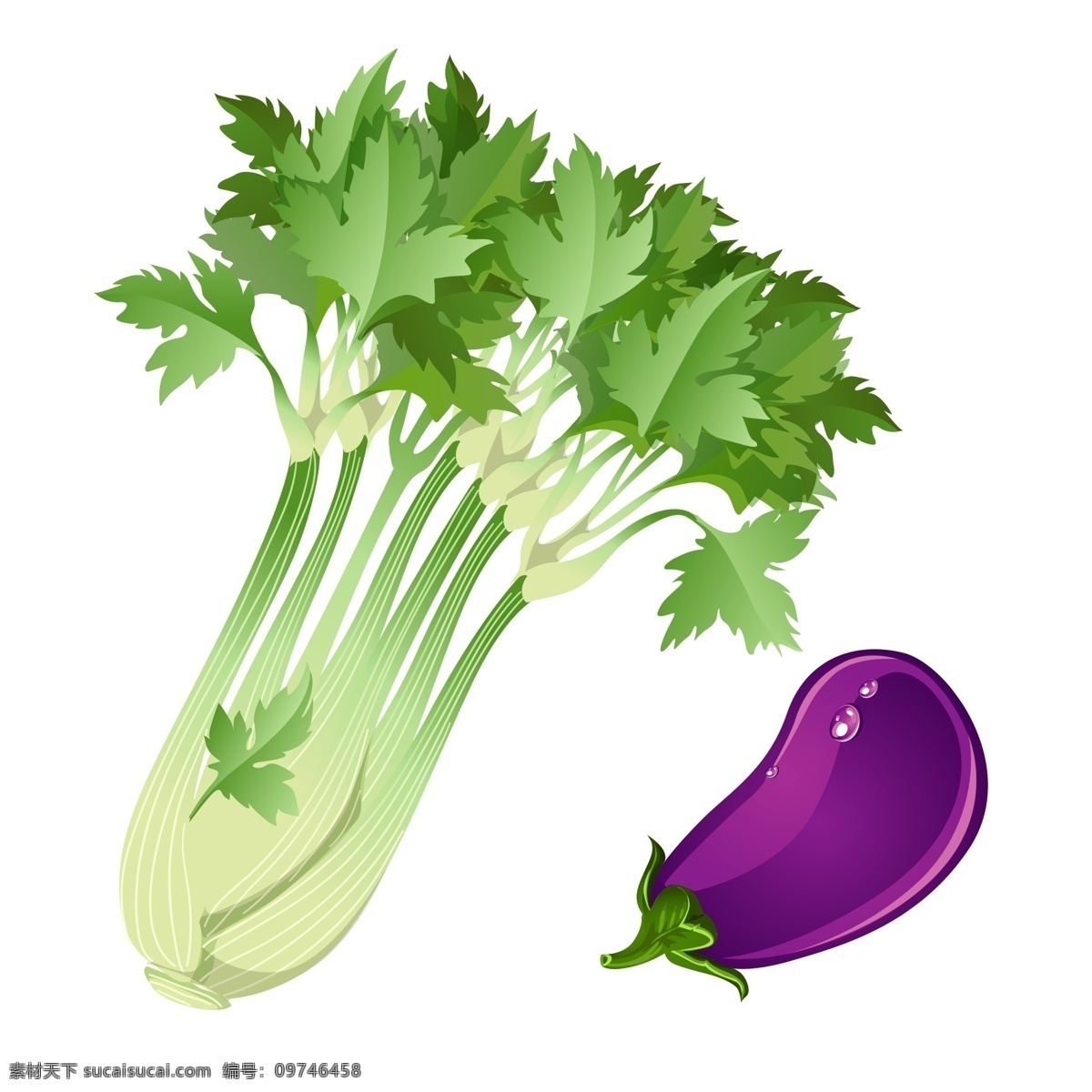 卡通 手绘 新鲜 绿色 蔬菜 芹菜 茄子 绿色植物 png元素 免抠元素