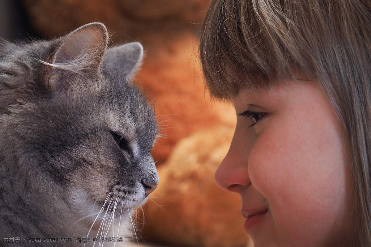 小女孩 小猫 可爱猫 宠物猫 猫咪 动物 动物世界 猫咪图片 生物世界