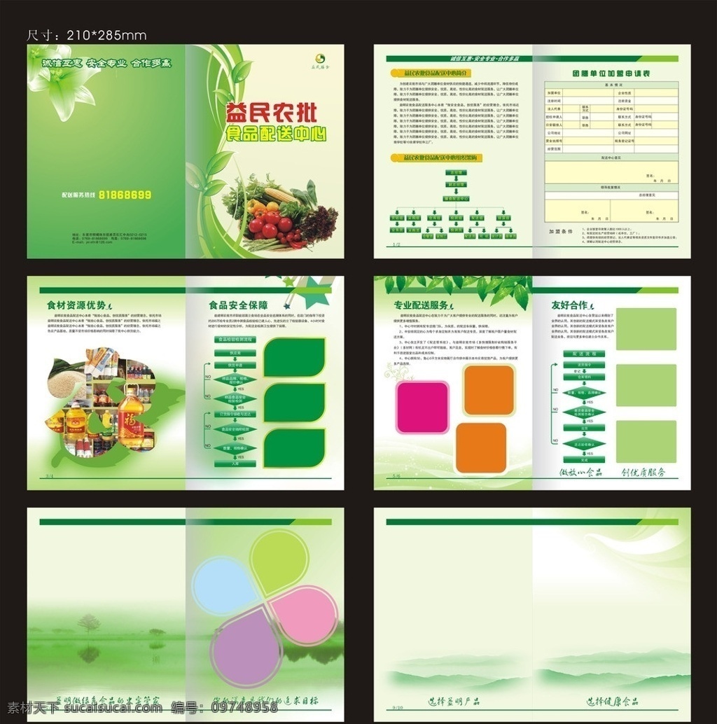 绿色食品画册 高档画册 绿色画册 清爽画册 整洁画册 绿色 环保 蔬菜 水果 树叶 星星 百合花 画册设计 矢量