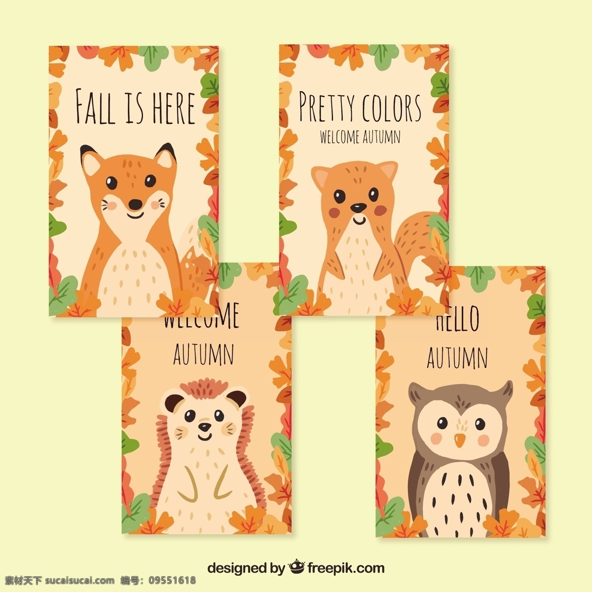 可爱 动物 手绘 秋季 卡片 花卉 手 模板 树叶 自然 秋天 微笑 快乐 猫头鹰 五颜六色 优雅 绘画 现代 树木