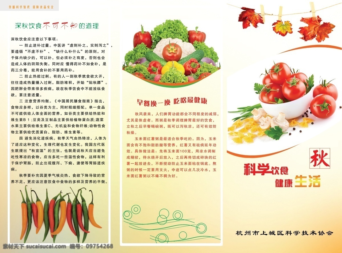 科学饮食 健康生活 三折页封面 三折页 三折页设计 饮食 蔬菜 dm宣传单 广告设计模板 源文件