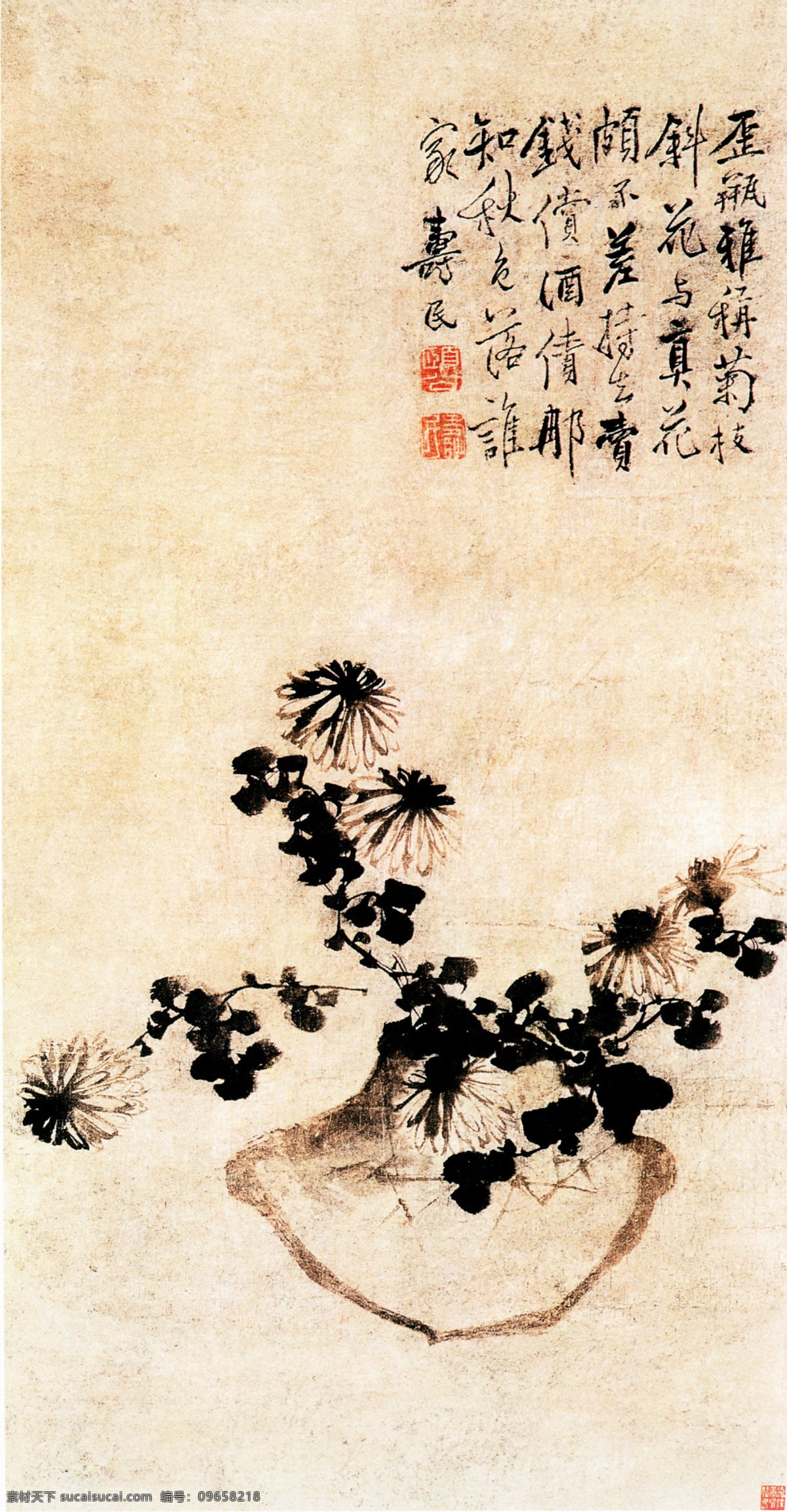 歪瓶依菊图 边寿民 设计素材 花鸟名画 古典藏画 书画美术 白色