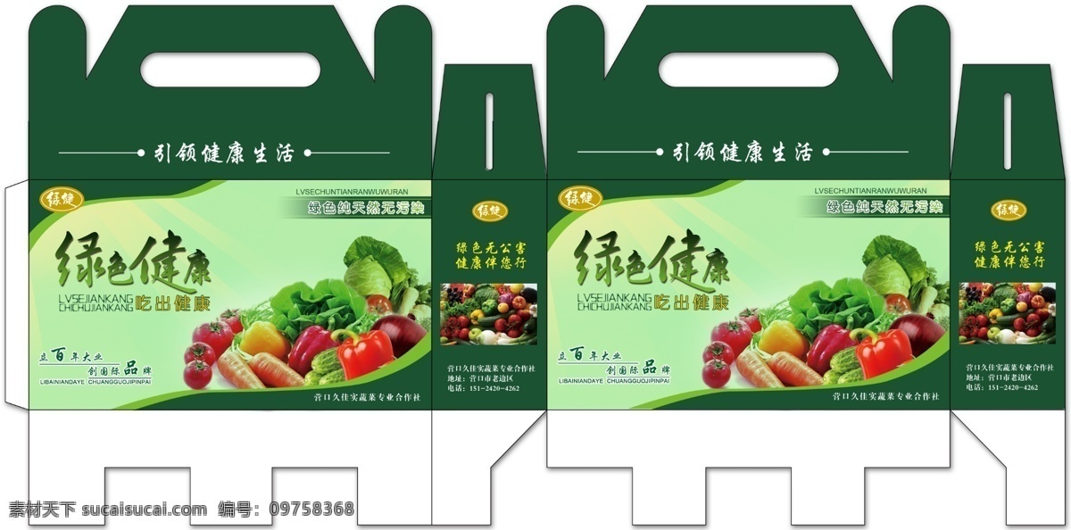 蔬菜包装盒 绿色 包装盒 蔬菜 健康 食品 包装设计 广告设计模板 源文件
