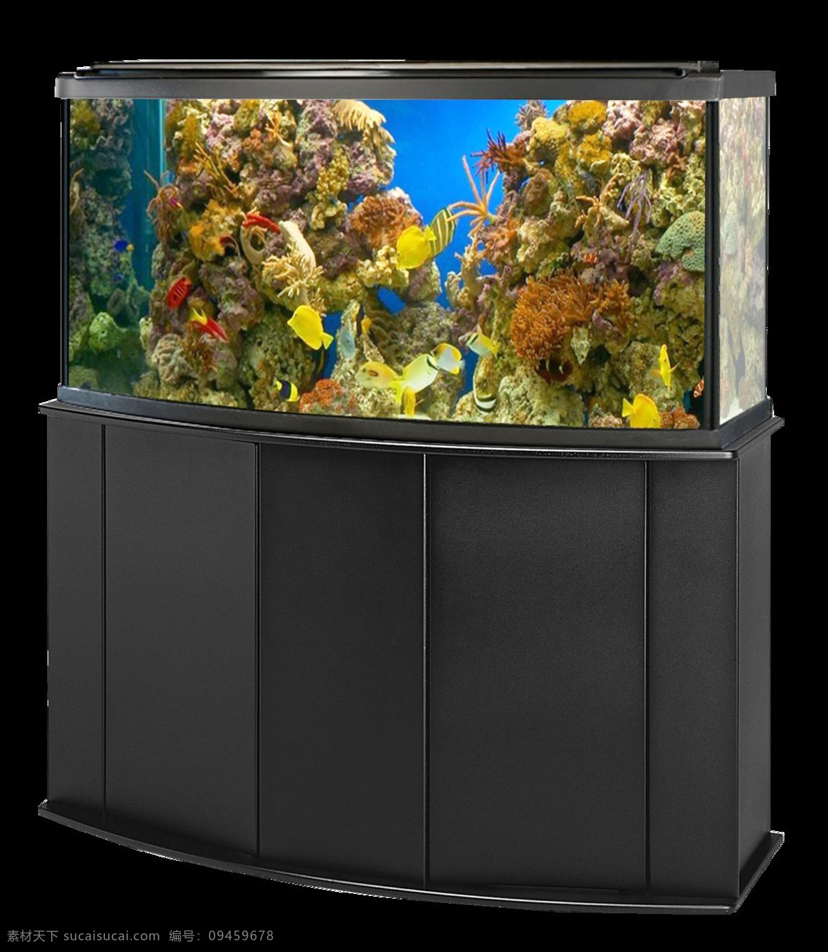 海洋馆 珊瑚礁 海底世界 海洋世界 水族馆世界 海洋公园 水下摄影 海洋生物 珊瑚礁鱼群 水 鱼 海洋 水下 插图 动物 卡通 装饰