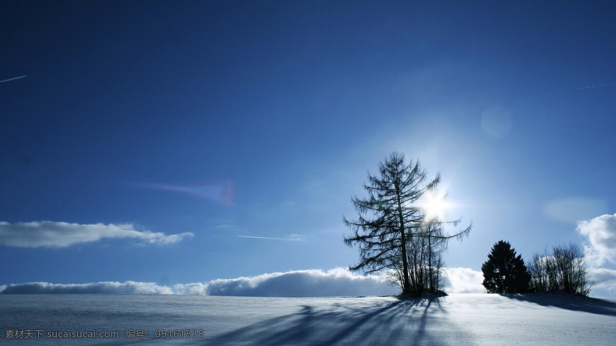 唯美 高清 壁纸 纯洁 雪景 自然 雪白 背景图片