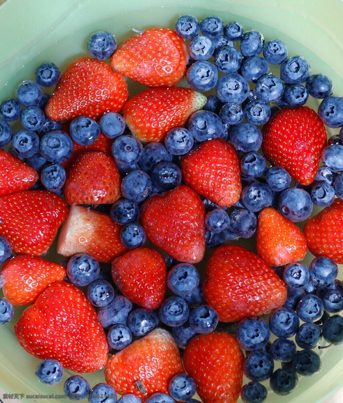 放在 一起 蓝莓 草莓 蓝莓草莓 草莓蓝莓 水果 生物世界