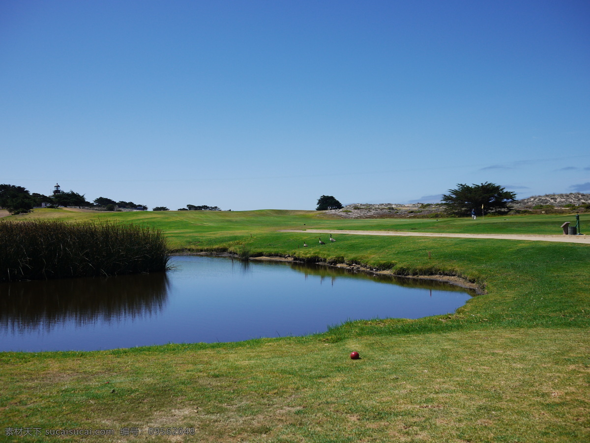 高尔夫球场 高尔夫 球场 17英里 蓝天 绿草 旅游摄影 国外旅游