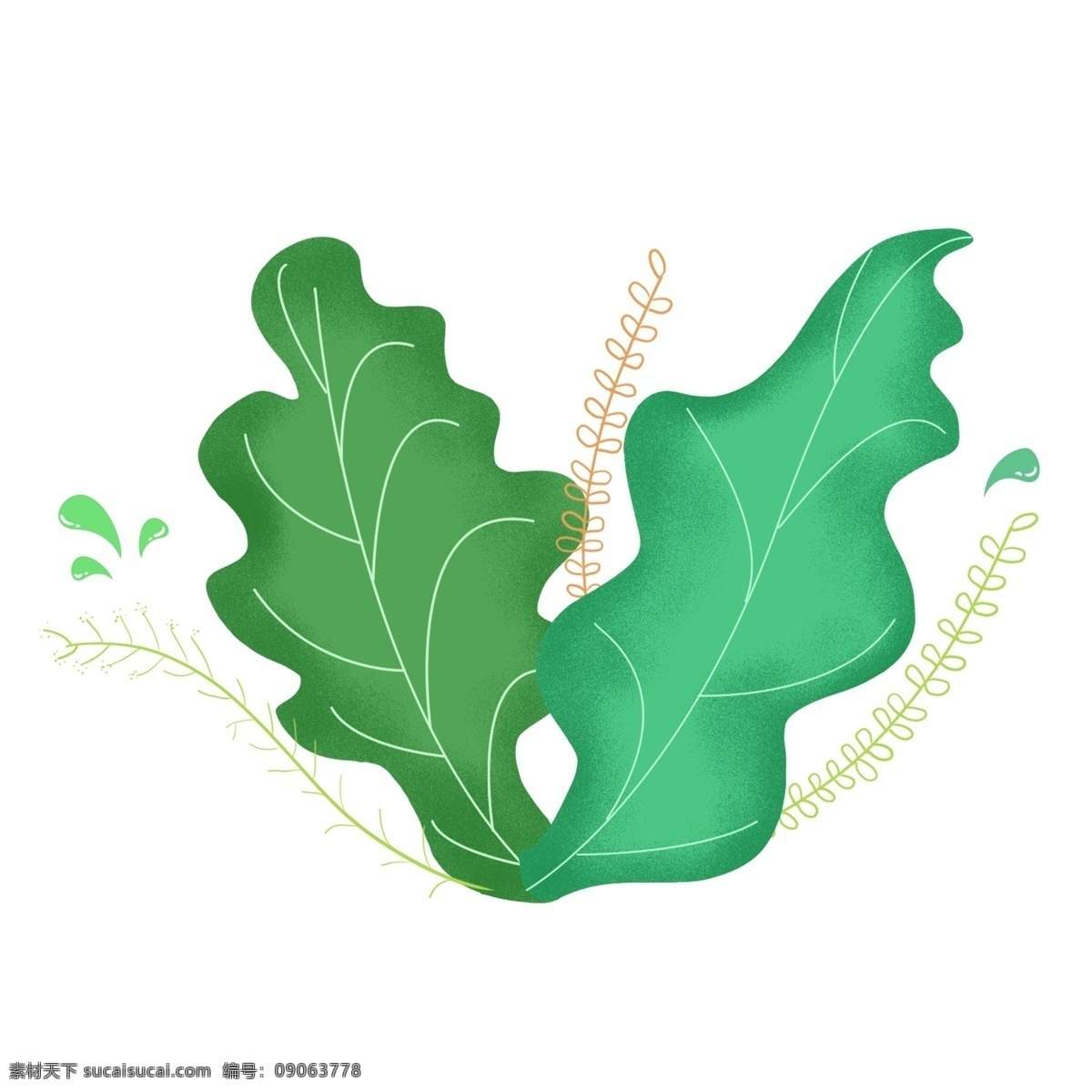 手绘 绿色 水滴 植物 叶子 装饰 图案 元素 商用 手绘植物 绿色植物 绿色叶子 绿叶 手绘叶子
