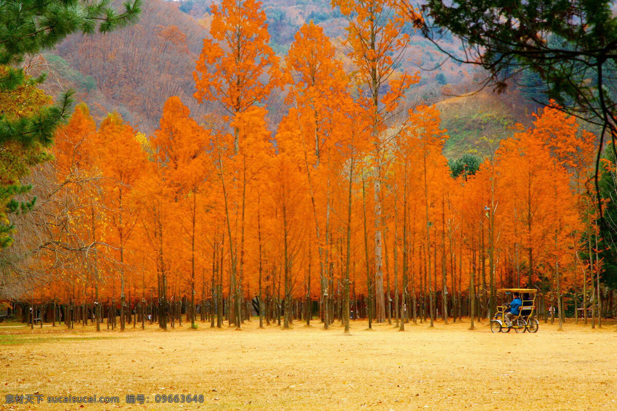 风景图片 风景 桌面壁纸 自然景观 自然风景 壁纸图片 壁纸 山水风景 山水画图片 河流 唯美图片 风景画 风景壁纸 唯美壁纸 唯美素材 背景图片 背景素材 蓝天白云 大自然 高清风景图片 拍摄 生态 绿叶 花 草 植物 植物特写 拍摄素材