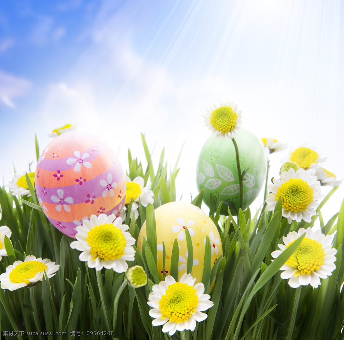 复活节彩蛋 节日 复活节 可爱 草地 天空 彩蛋 鲜花 节日庆典 生活百科 白色