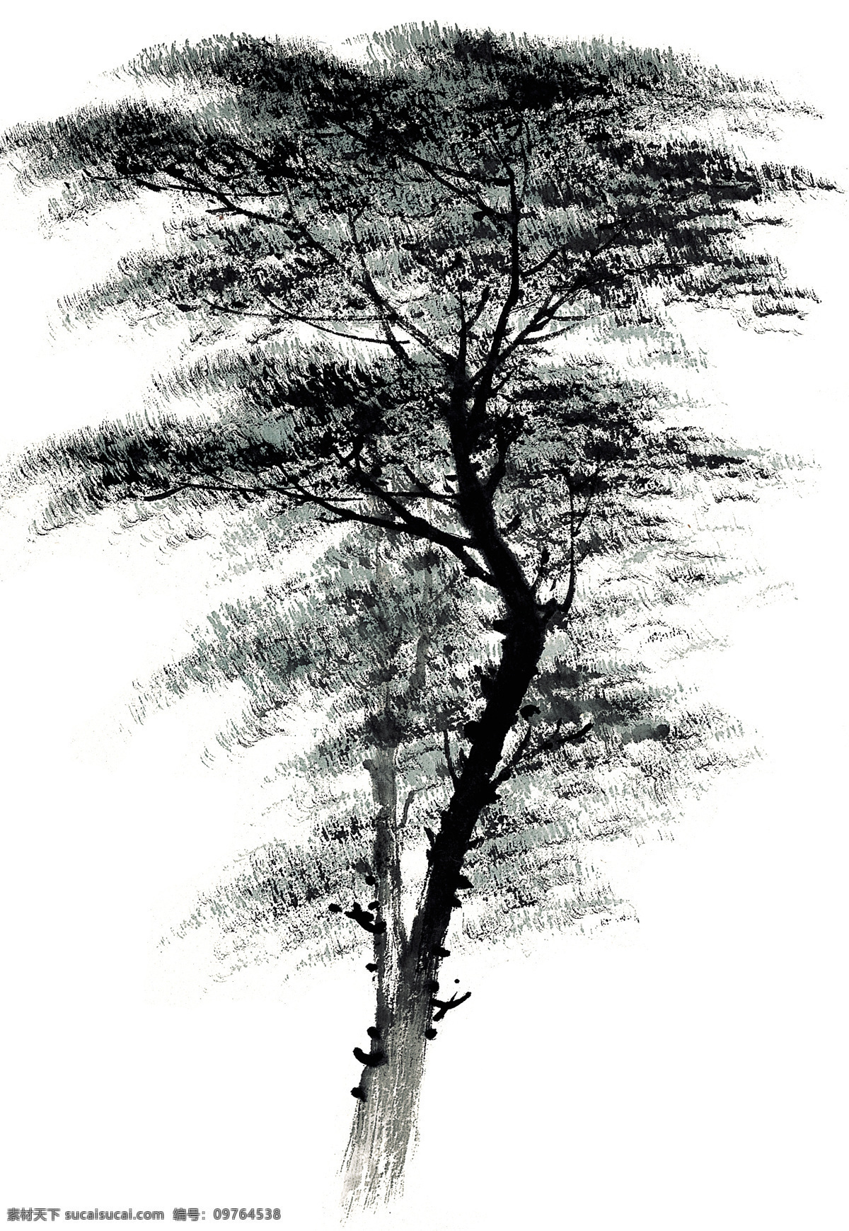 柏树 青松翠柏 层叠 中国画 白色