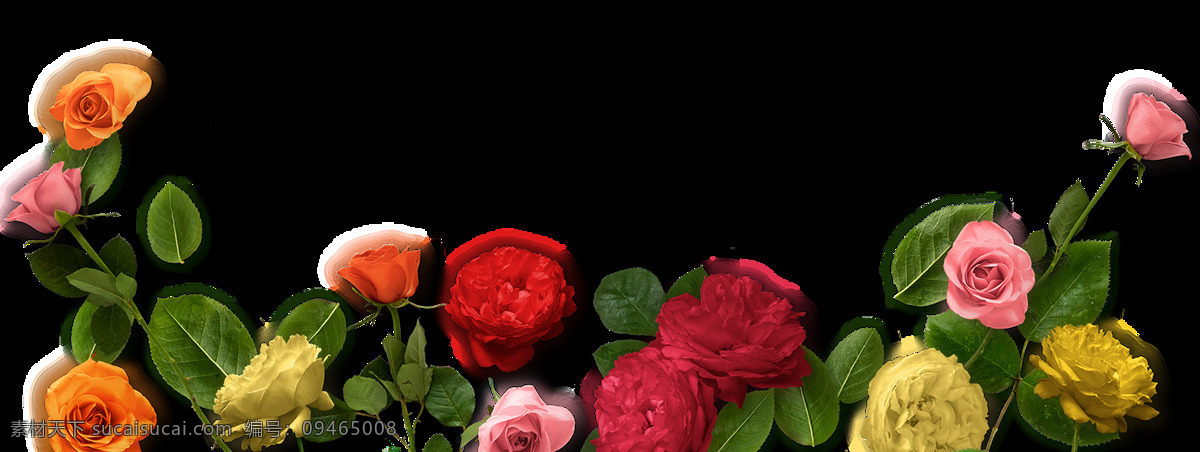 五颜六色 玫瑰 花花 堆 透明 植物 红色 黄色 绿叶 免扣素材 透明素材 鲜花 装饰图片