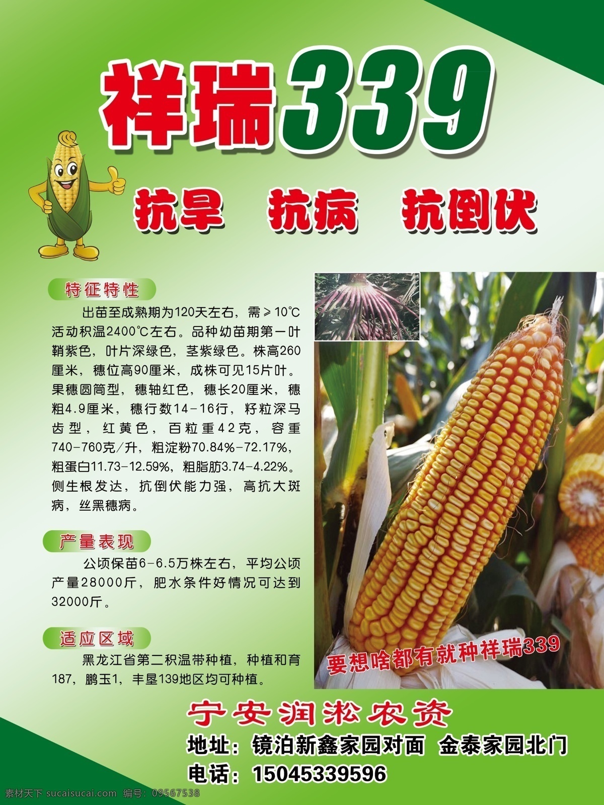 祥瑞339 玉米宣传 玉米种子 种子宣传单 祥瑞3 分层