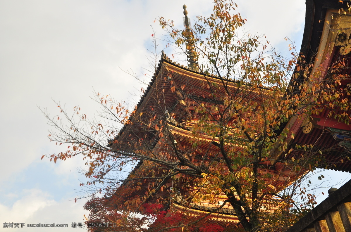 日本寺庙 日本 寺庙 传统 建筑 塔 楼 屋檐 红色 金色 木楼 天空 秋天 树 艺术 旅游摄影 国外旅游