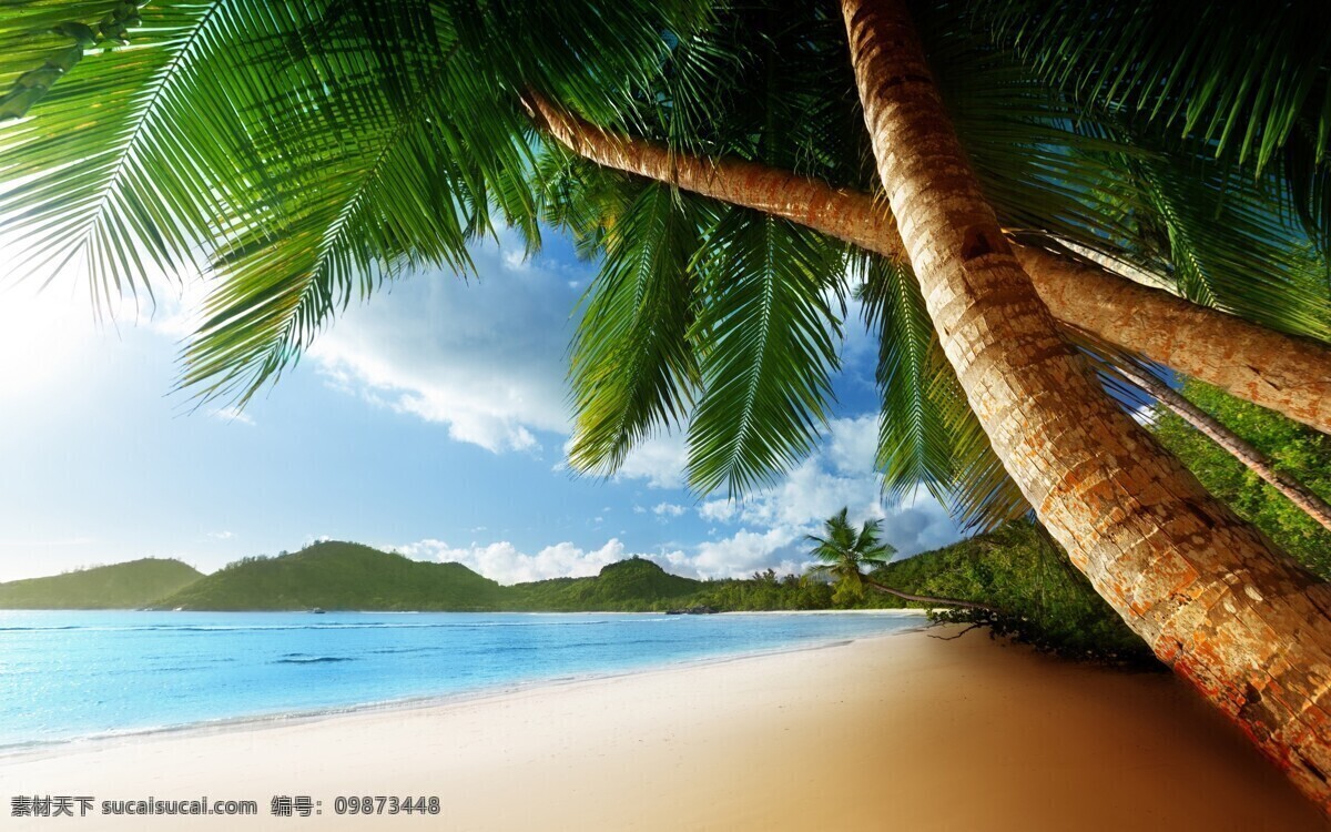 白云 大海 大自然 海滩 蓝天 美景 沙滩 滩 椰子树 天空 云彩 自然 自然风景 自然景观 psd源文件