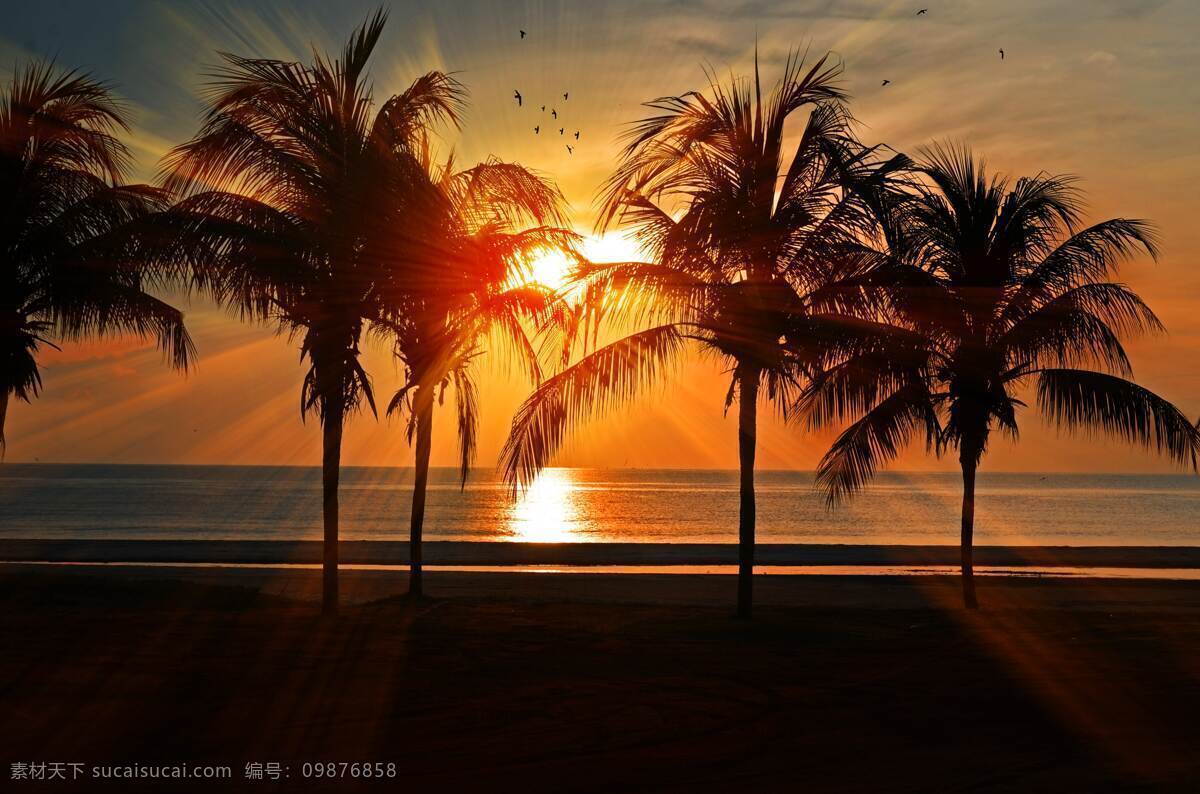 海景夕阳 海景 夕阳 沙滩 椰子树 自然景观 山水风景