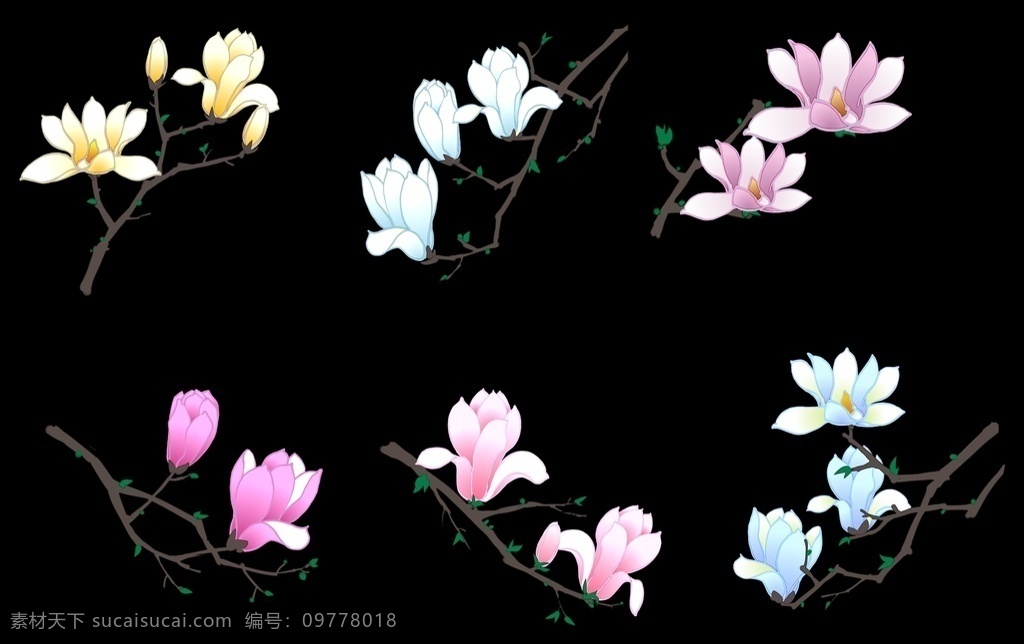 玉兰花花卉 春天的花 树上开花 漂亮的花 小清新 开的花 玉兰花 粉红色 兰花 绿叶 花朵 花枝 花 花草 树木 叶子 花瓣