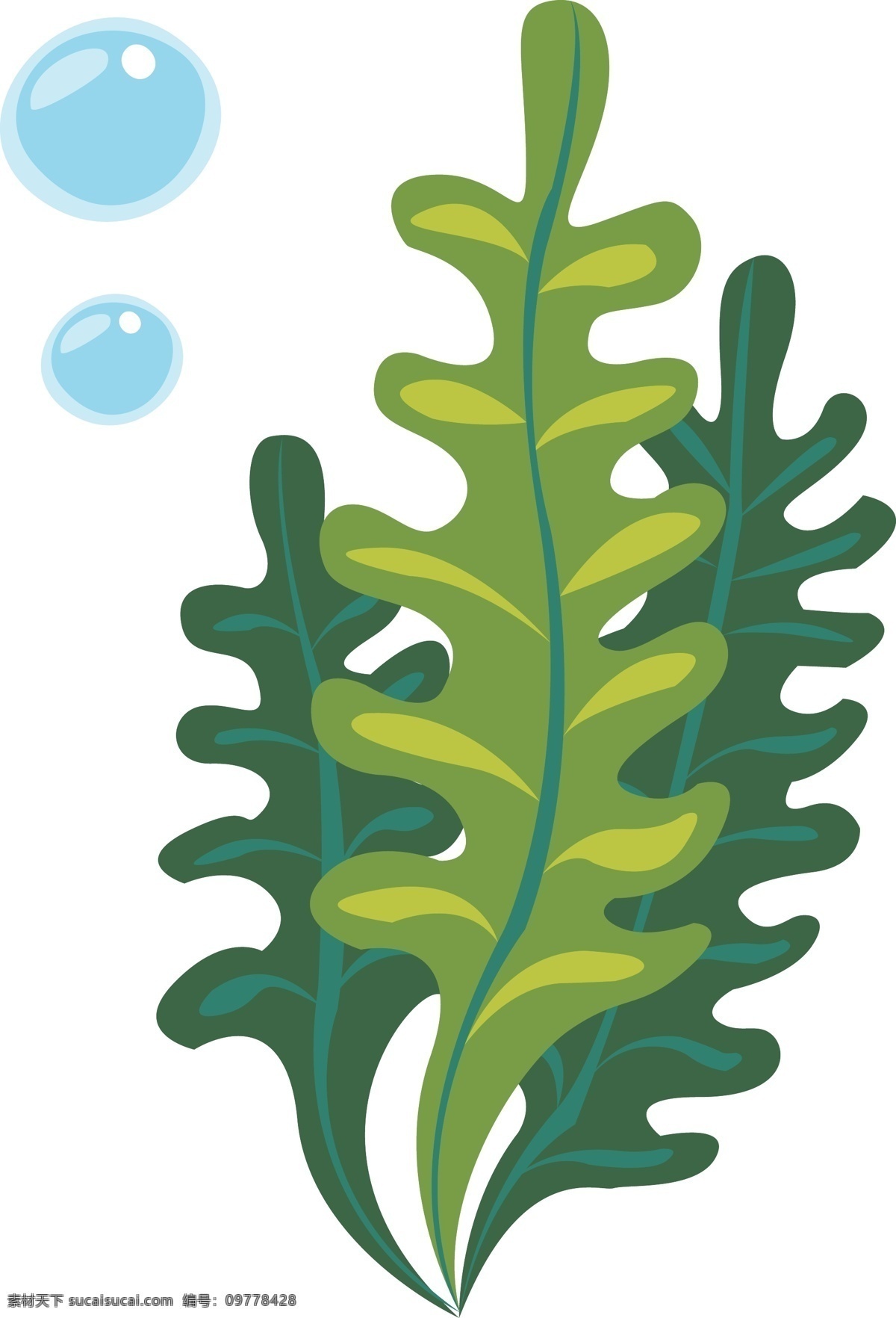海洋植物 海草 珊瑚草 珊瑚 海底植物 大海深处 矢量 生物世界 海洋生物