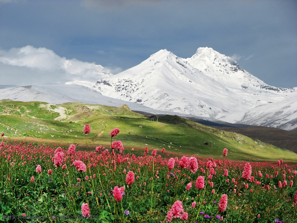 雪山花草植物 风景 风景背景 风景画 风景素材 风景图 湖 湖泊 湖景 湖面 湖畔 雪山 花草植物 雪山风景 雪山草地 雪山高山 雪山草原图片 水岸 水岸生活 景色 景色背景 景观 景物 景观设计 景点 自然 自然风景 自然景观 自然风光 自然景色 山水 山峰 山水风景 山水背景 山水风光 蓝天白云 蓝天草地树木 花 花朵 花纹背景 花瓣 花草 湖水风景 山脉 家居装饰素材 山水风景画