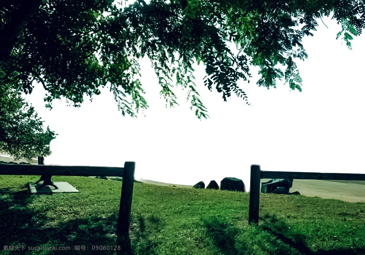 绿油油 小草 树木 绿油油的 绿色 美丽景色 美妙绝伦 风景优美 自然景色 风光 大自然