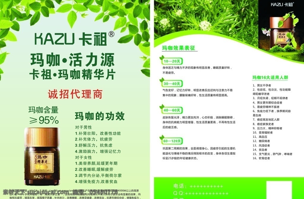 卡 祖 活力 源 宣传页 玛咖 卡祖活力源 广告宣传页 绿色 植物 树叶 补肾壮阳 美容养颜 抗癌 防衰老