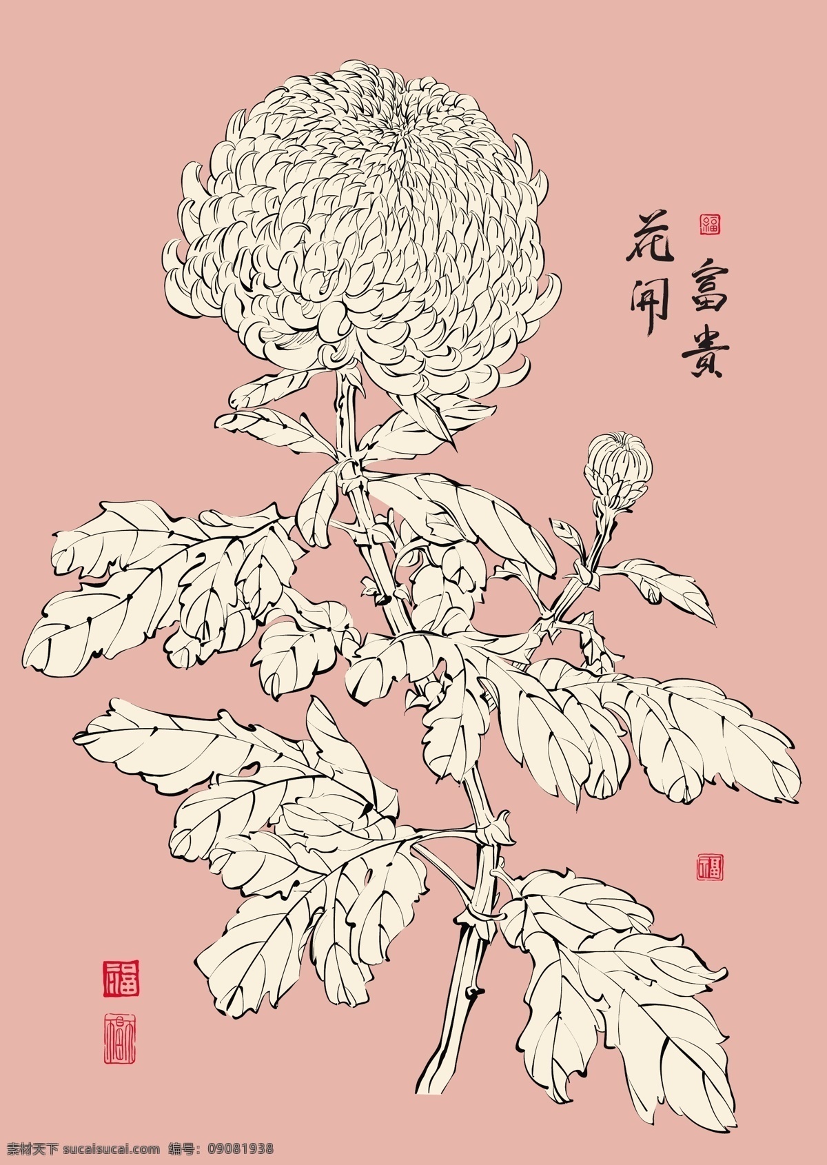 翻译 菊花 矢量 中国 繁荣 花 矢量图 矢量人物