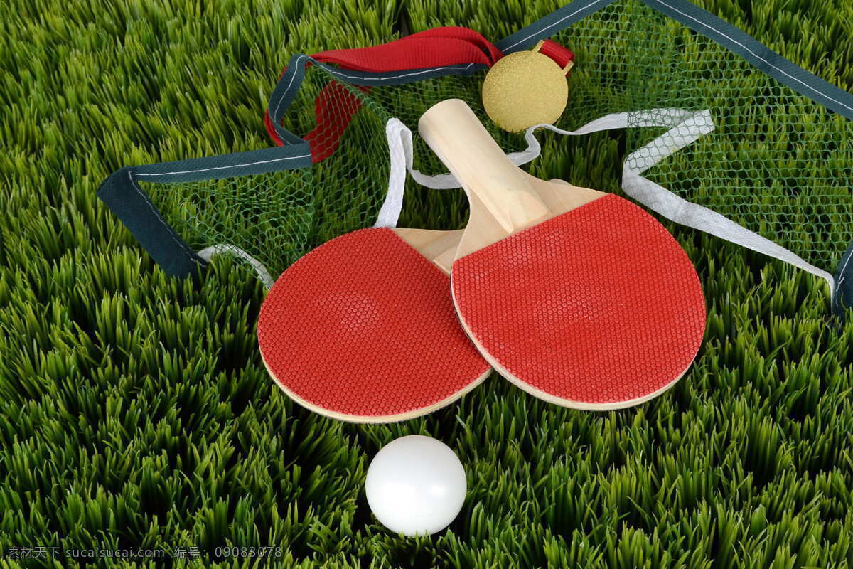 乒乓球拍 乒乓球 运动会 体育文化 体育精神 乒乓球比赛 乒乓球文化 乒乓球活动 展览 博物馆 球拍 各类素材