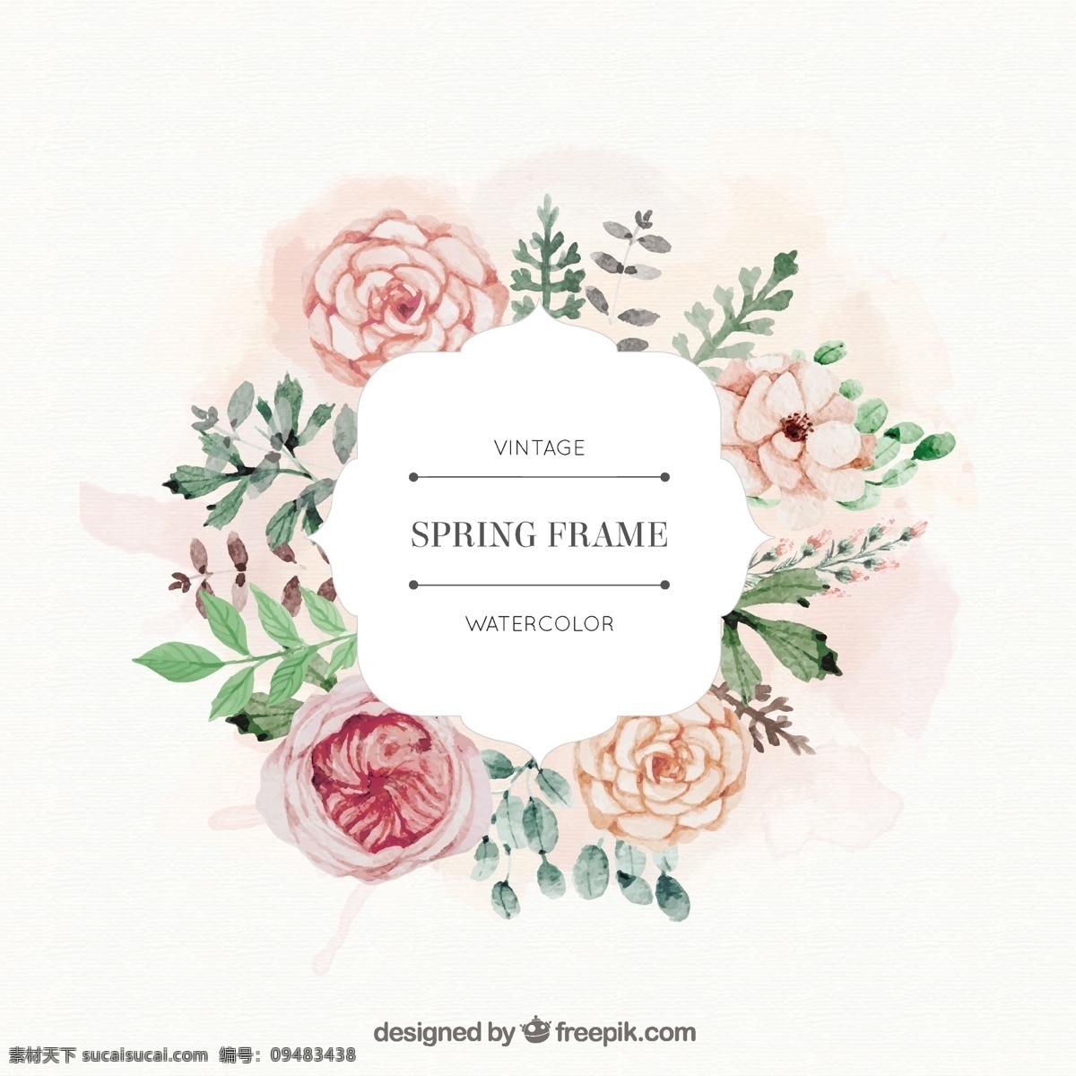 水彩 玫瑰 树叶 弹簧 架 框 花 水彩画 手 装饰 自然 叶 春 艺术 可爱 植物 白色