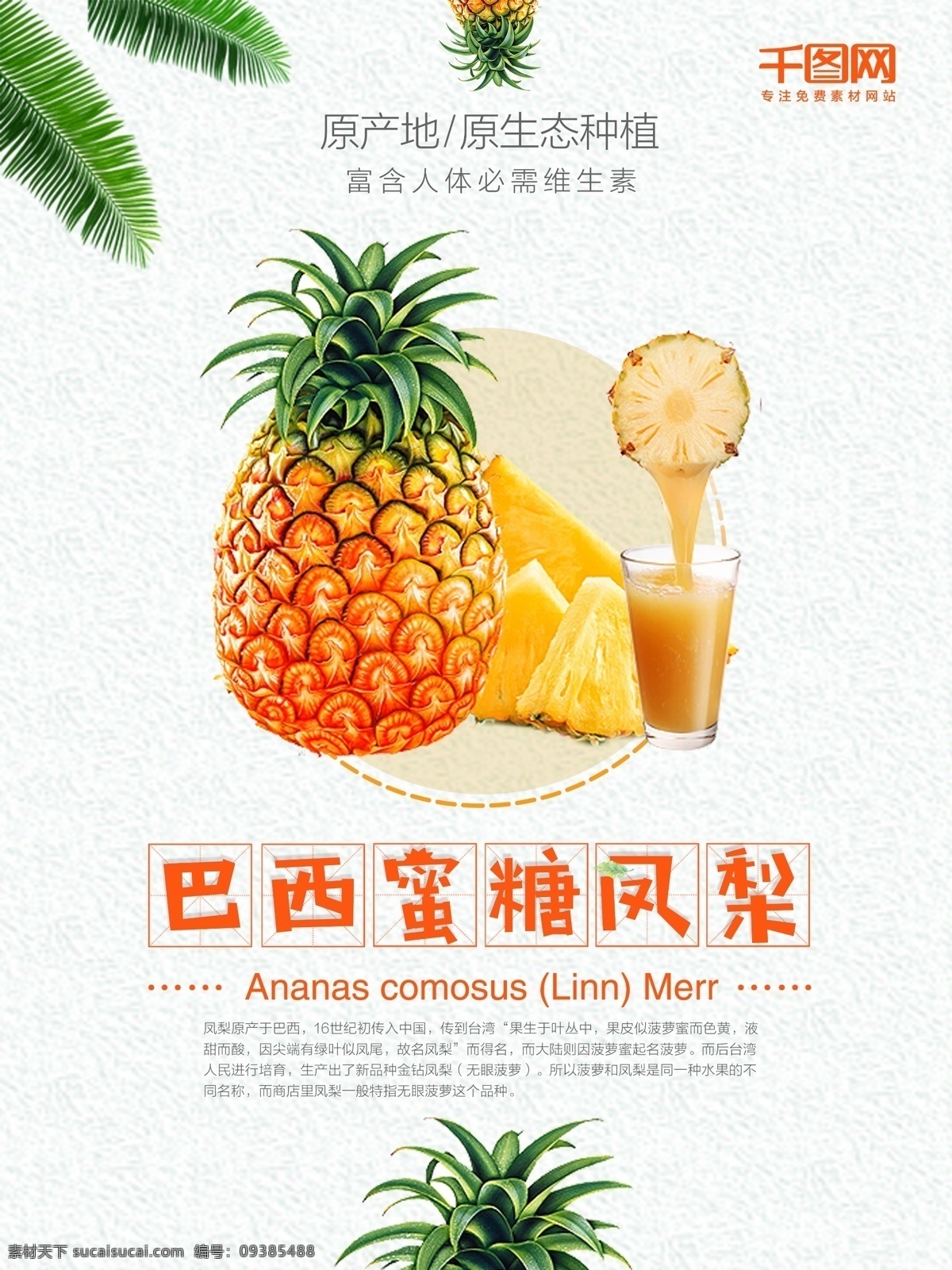 巴西 密 糖 凤梨 菠萝 巴西水果 密糖凤梨海报 菠萝海报 水果海报