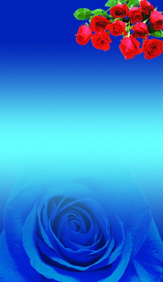 底纹 名片底板 背景 蓝色 蓝色玫瑰 背景素材 分层 源文件